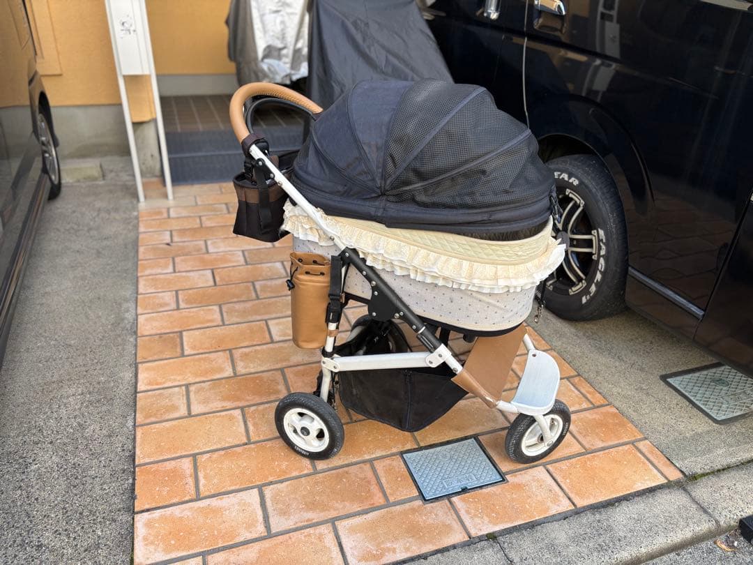 エアーバギー　ビームスコラボ