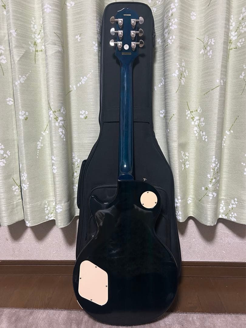 ギター Epiphone Les Paul standard pro