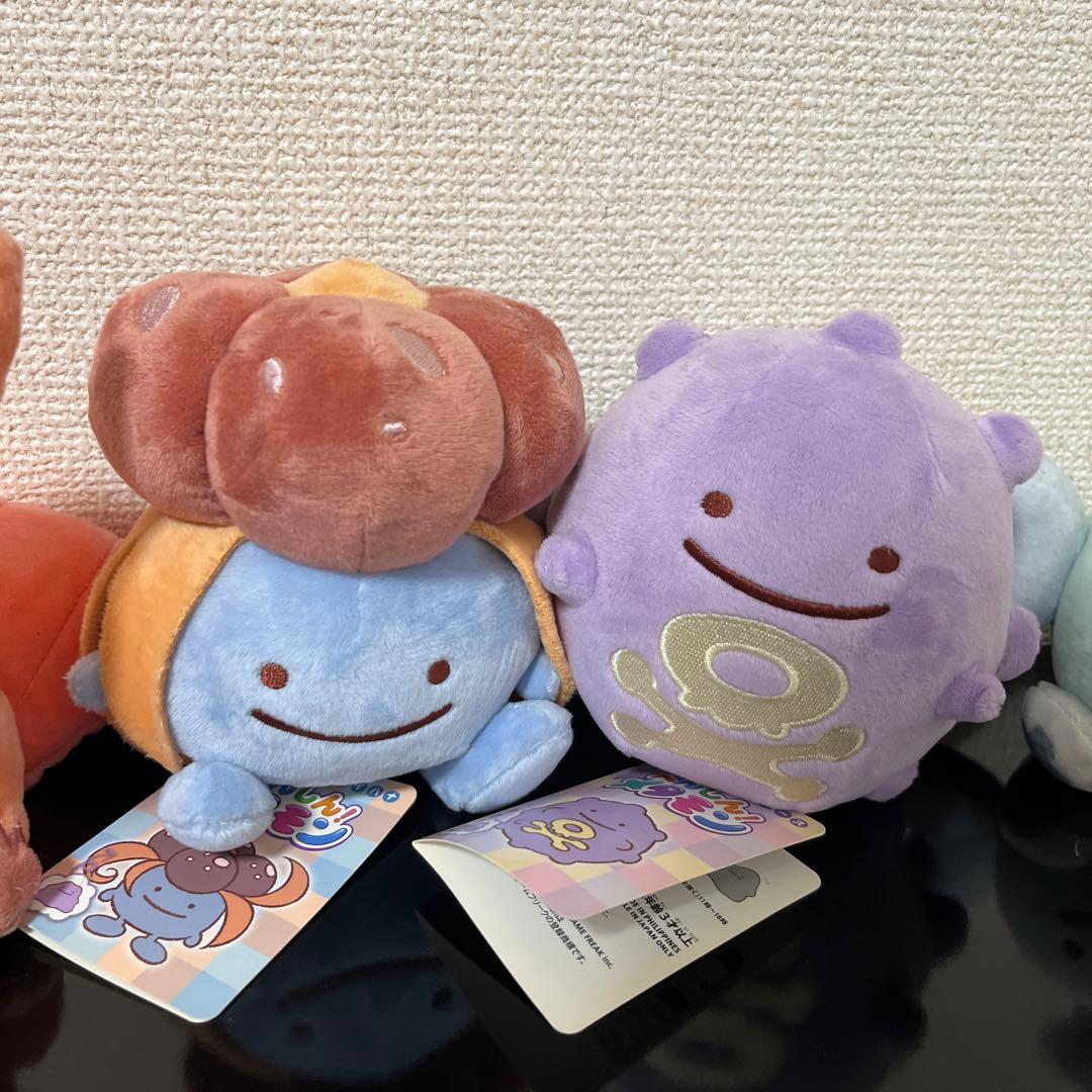 ここみ