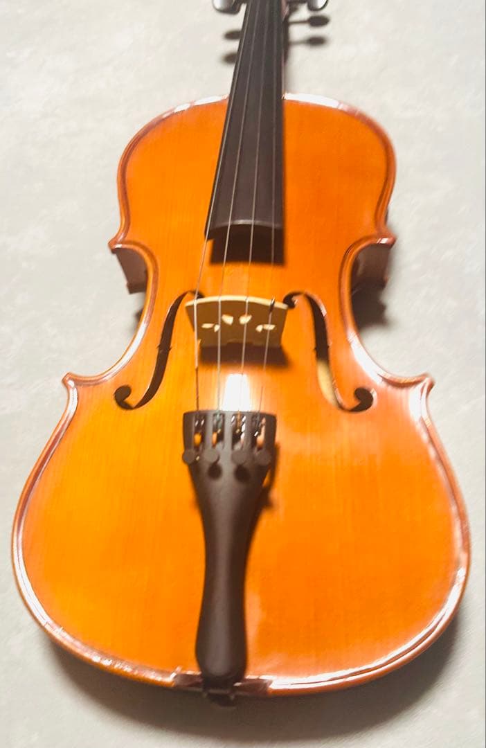 Carlo giordano バイオリン VS-0-44 4/4サイズ
