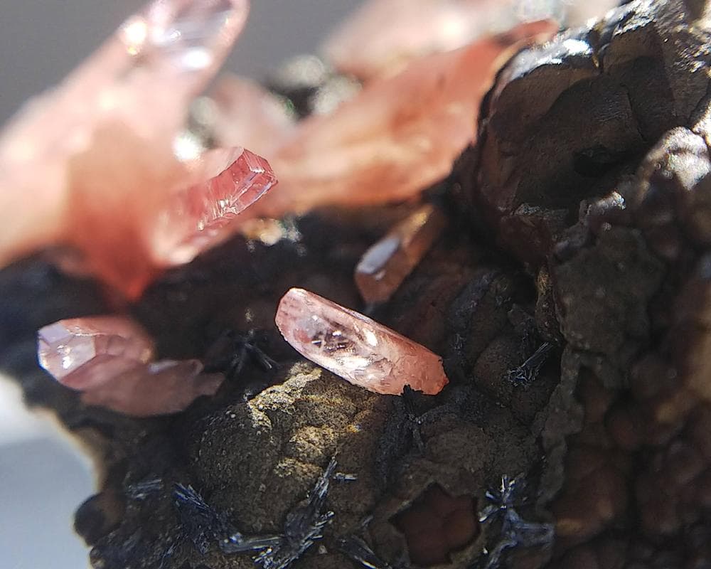 337 ロードクロサイト インカローズ 犬牙状 結晶 母岩付き