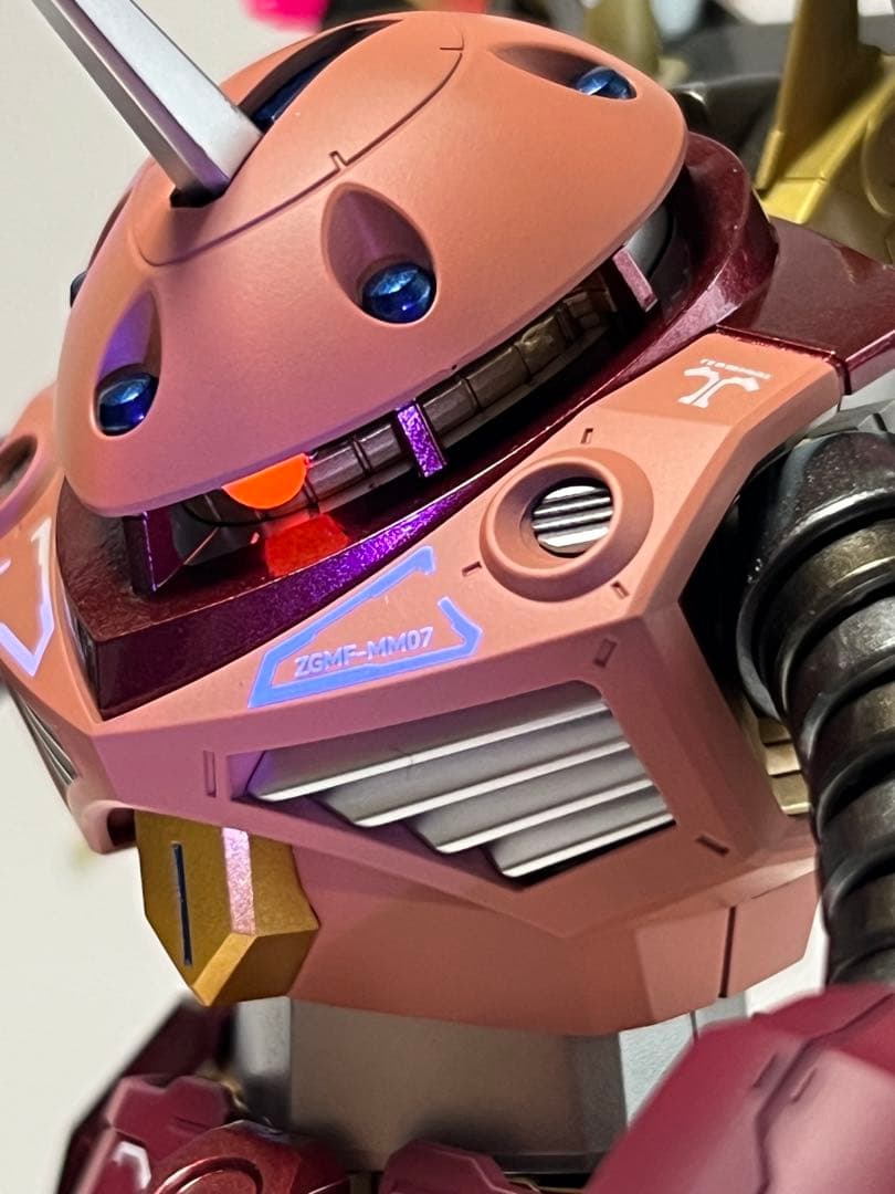 HGCE ズゴック SEED FREEDOM Ver. 塗装完成品 CAセット