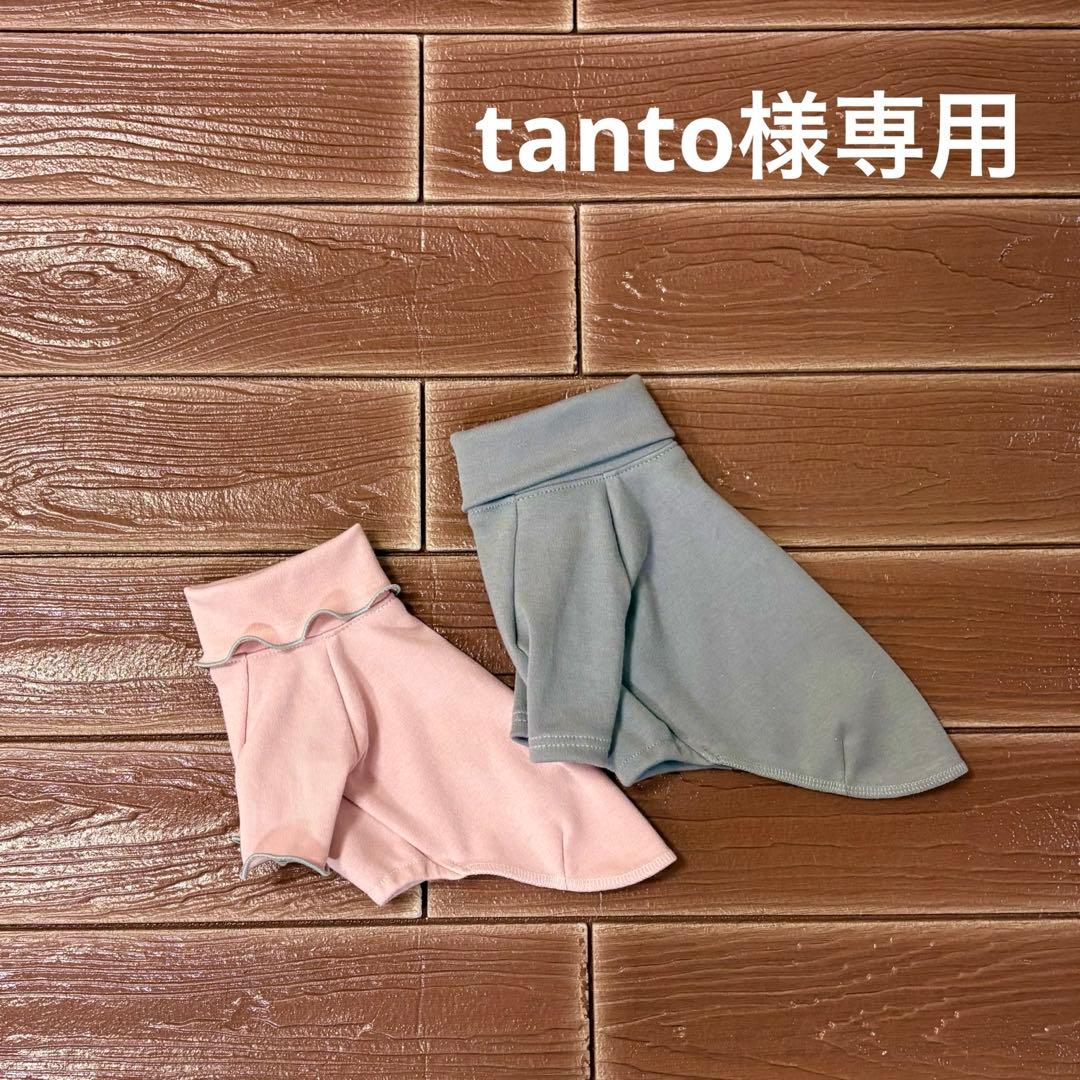 犬服・アクセサリー tanto