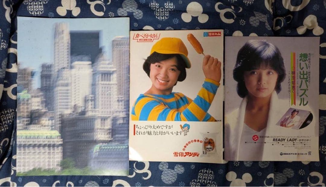【貴重】榊原郁恵　パンフレット　グッズ　ブロマイド