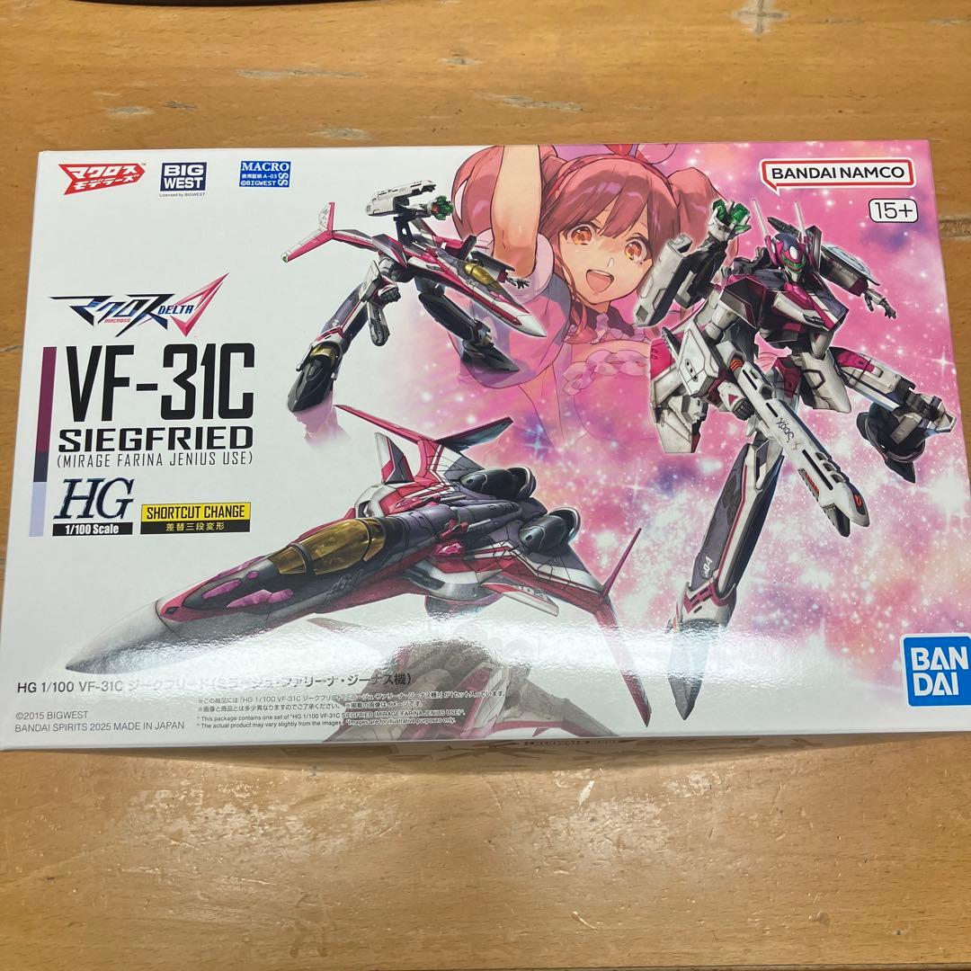 その他 HG