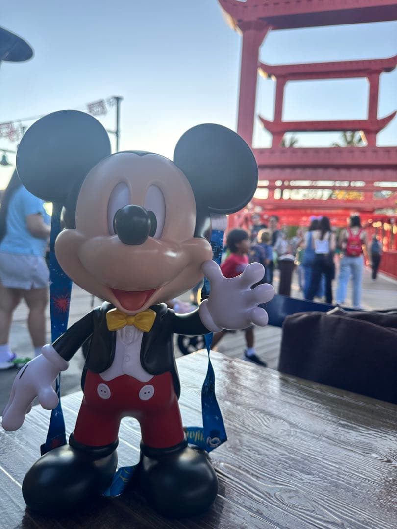 ディズニーランド 70周年 ポップコーンバケット アナハイム 海外限定 ミッキー