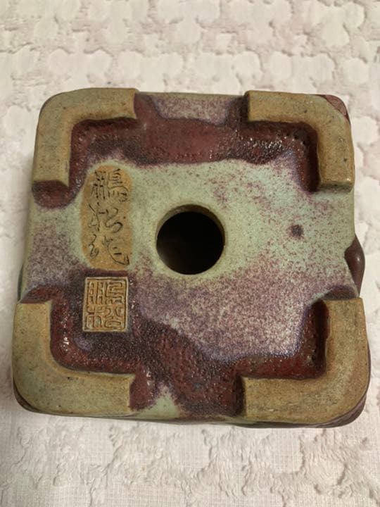 盆栽鉢　原茂 鵬松