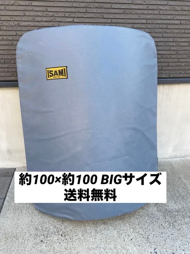 限界値下げ中　イサミ　ビックミット　空手