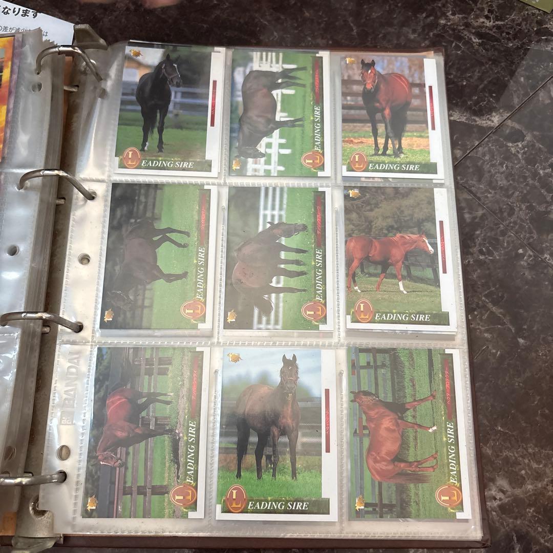 競馬のカード