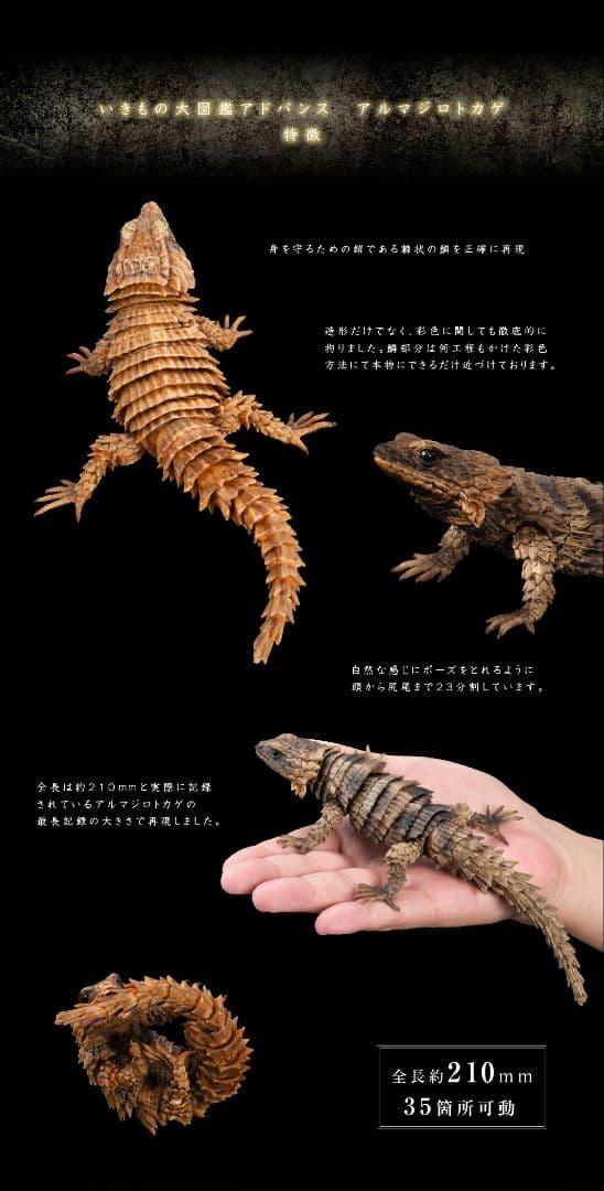 いきもの大図鑑アドバンス　アルマジロトカゲ　全４種フルコンプ　個包装　新品未開封