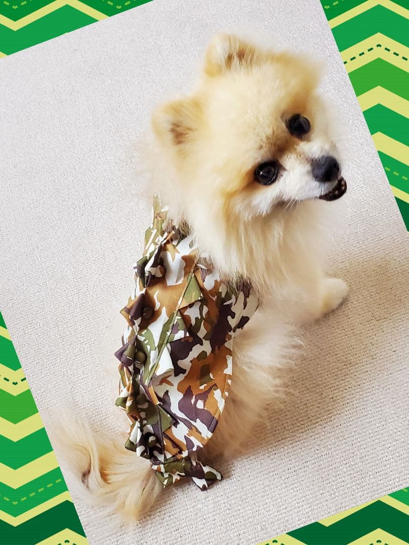 【ハンドメイド♡犬服♡１点物】迷彩 × トゲトゲ　Ｌサイズ