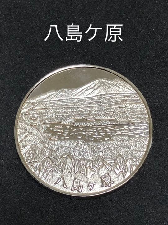イベント10☆八島ケ原9★記念メダル☆茶平工業 ★希少13