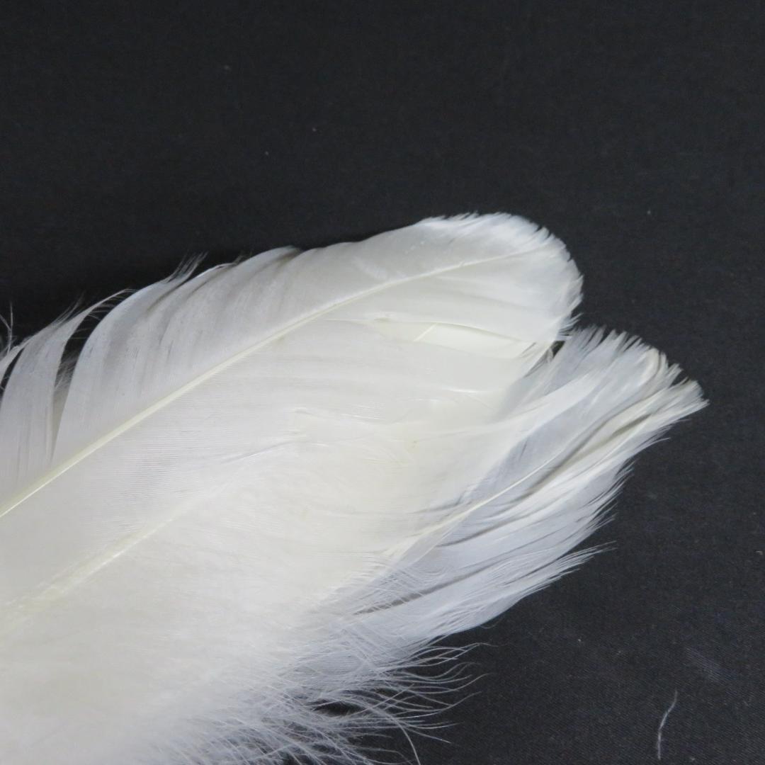 羽箒 羽根 ほうき 白鳥 茶道具 紙箱