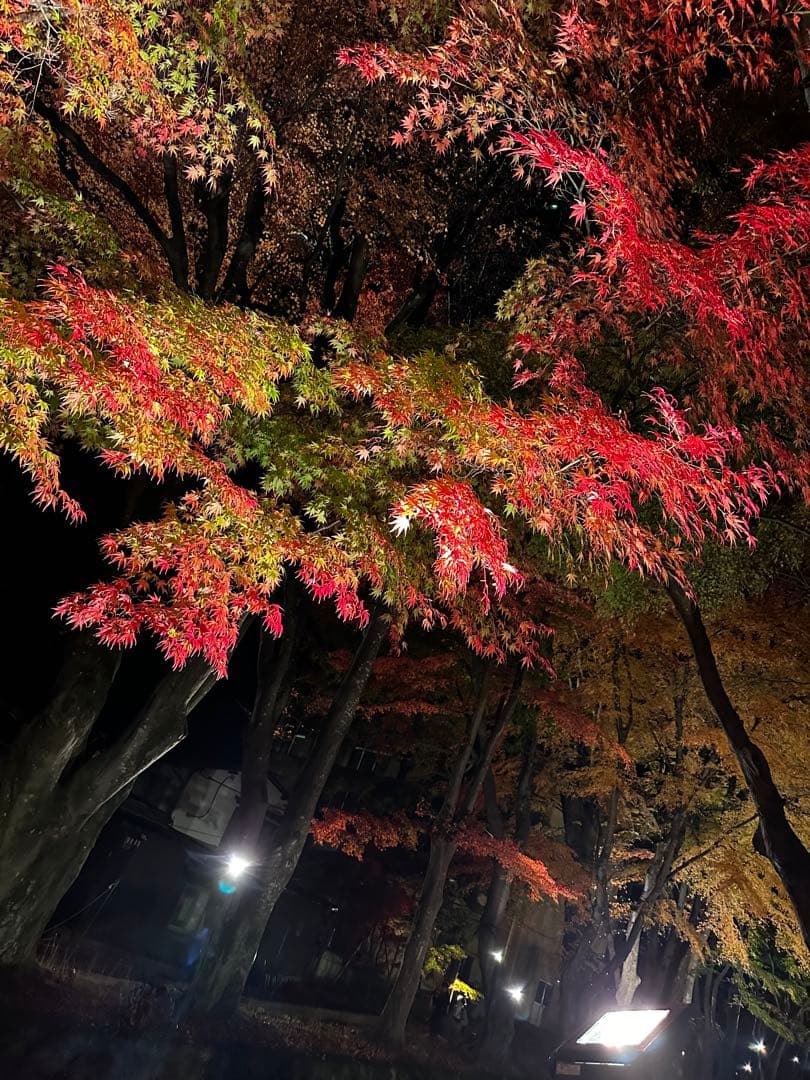 なむる