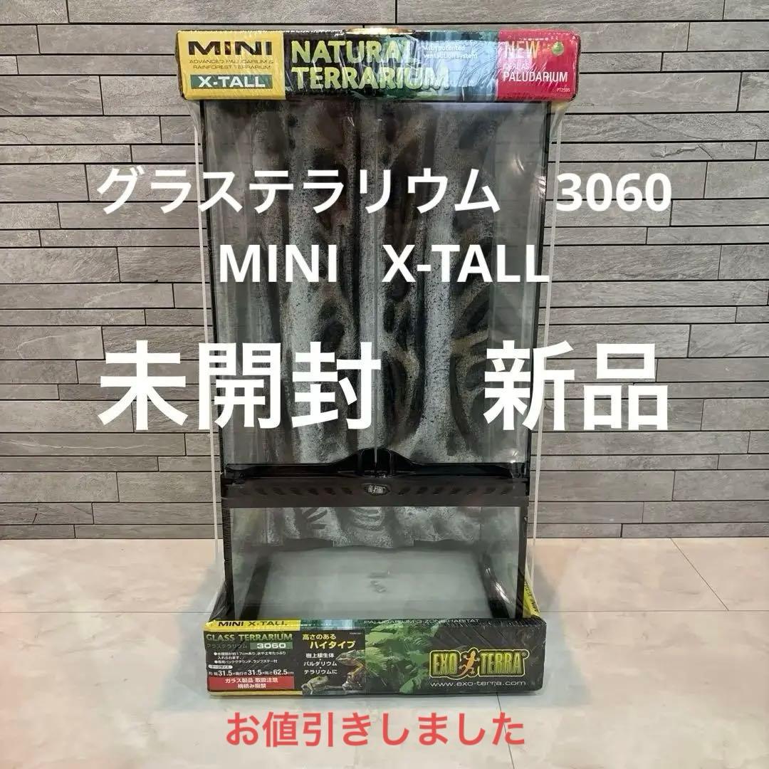 エキゾテラ　グラステラリウム3060 高さのあるハイタイプ　未使用　新品　未開封