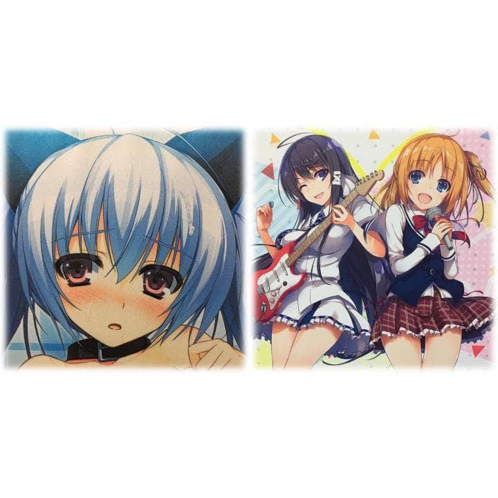 レミニセンス タペストリー 10枚セット