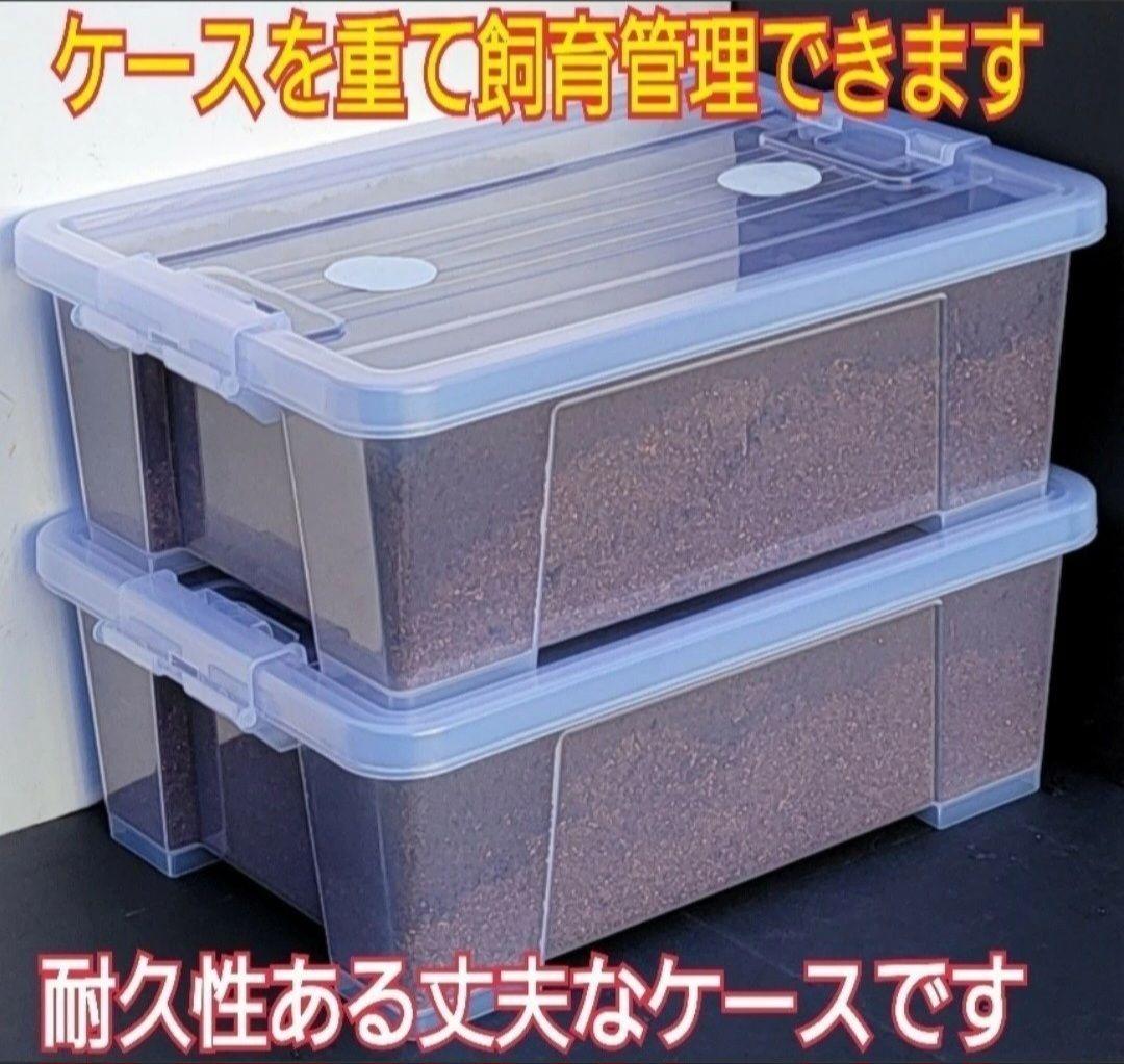【２セット】カブトムシ幼虫を入れるだけ！プレミアム発酵マット入り㍑ボックス