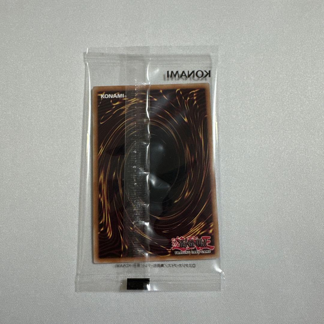 遊戯王OCG Dragon of Illumination 日本選手権プロモ