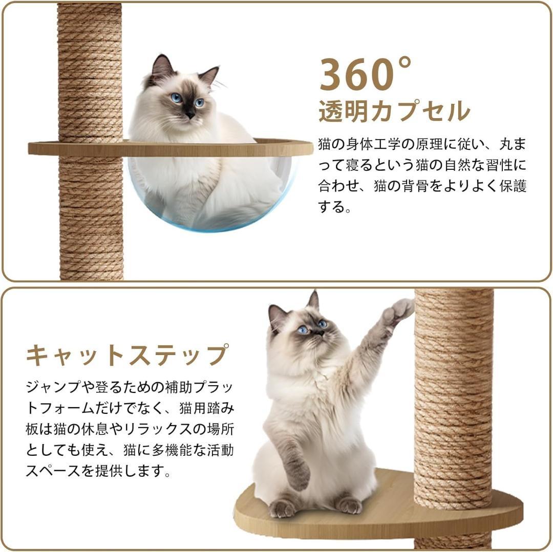 据え置き型キャットタワー 360°透明カプセル