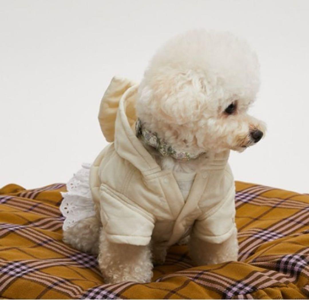 【新品未使用】ルイスドッグ Humble White Hoody XSサイズ