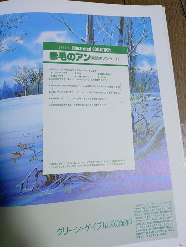 【美品 初版 帯あり】 NEWTYPE I 赤毛のアン