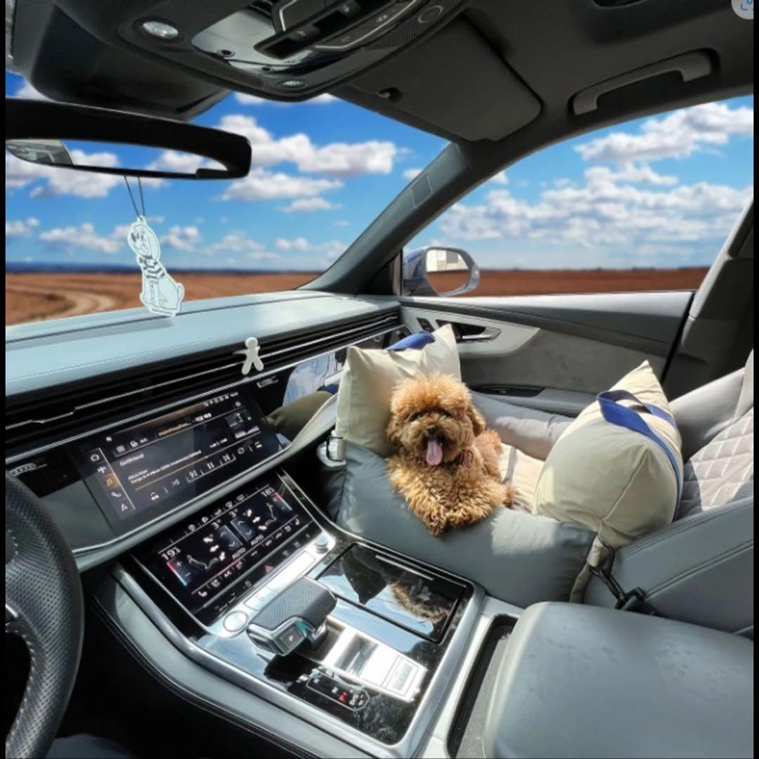 ペットカーシート ペットドライブボックス ペットキャリー犬用カーシートSサイズ