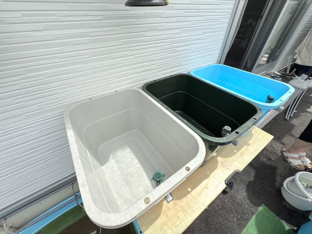 ★お買い得★たらい36L(4個)メダカ飼育容器オーバーフロー トロ舟プラ舟めだか