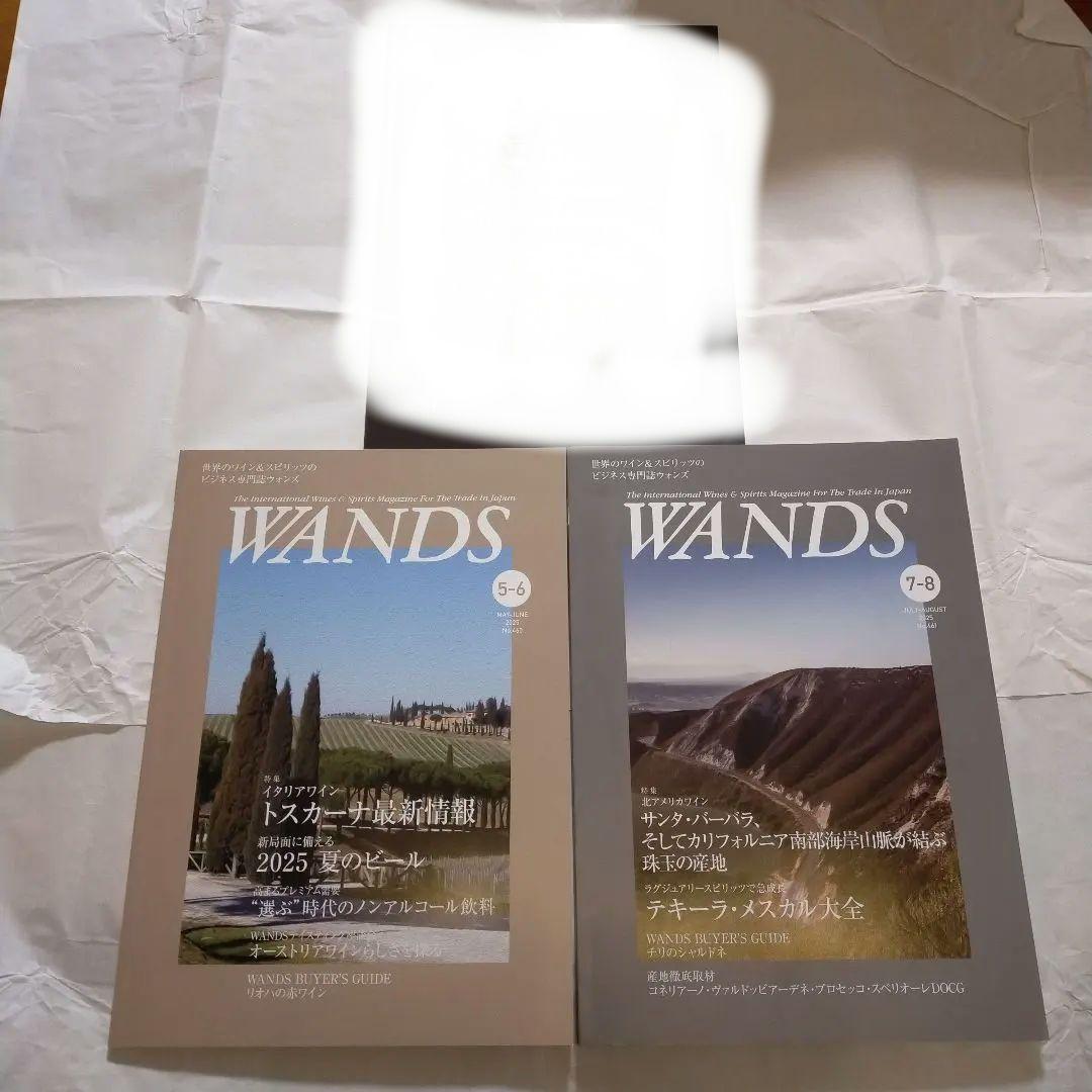 【新品未読誌】WANDS 特別号を含む 3冊セット