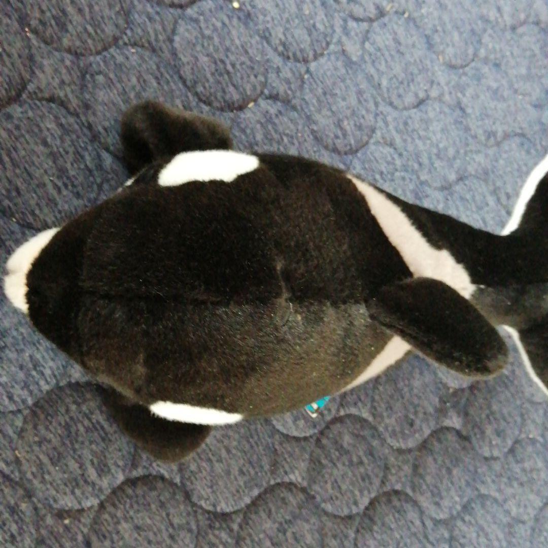 シャチのぬいぐるみ