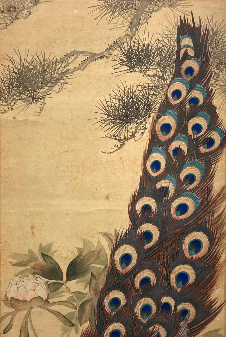 渡辺崋山「孔雀」掛軸 紙本 識箱 二重箱：江戸時代後期