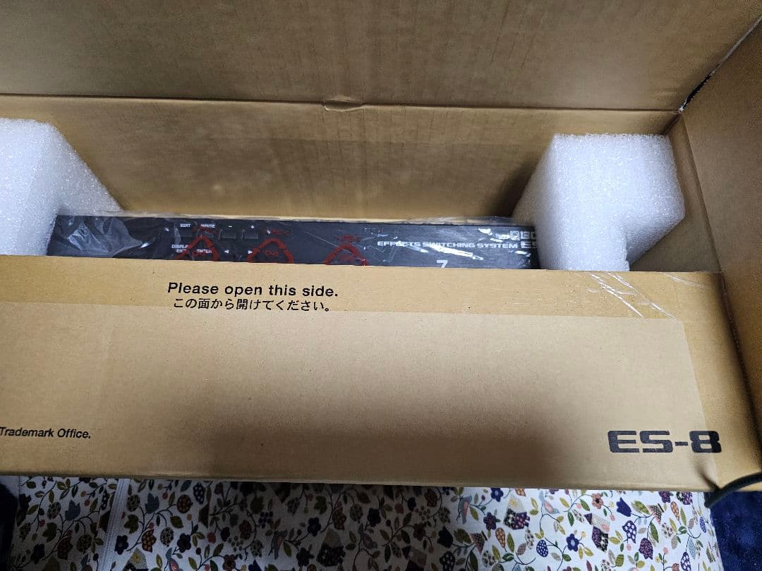 ギター BOSS ES-8
