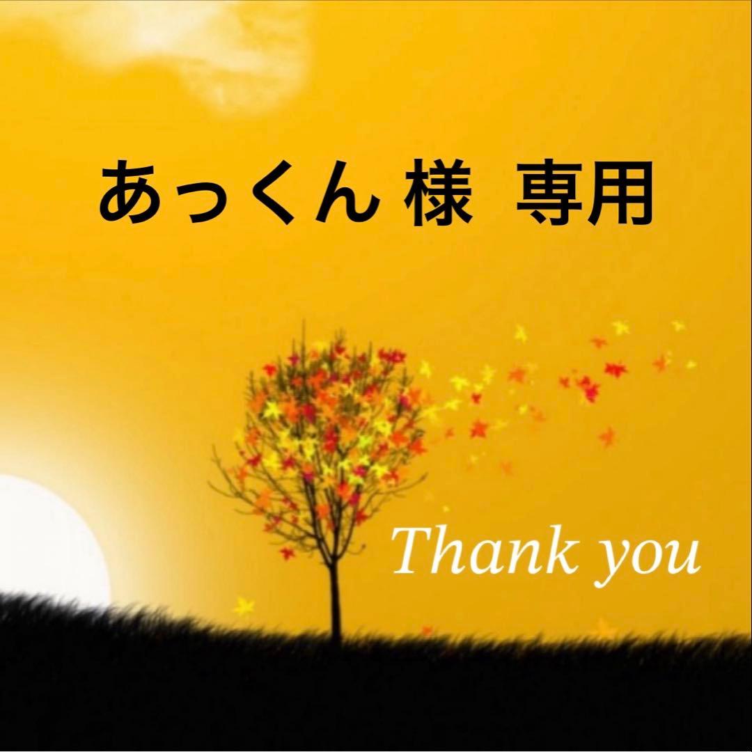 八女茶特上煎茶50袋セット お茶葉 緑茶 国産 特上煎茶 お茶 八女茶