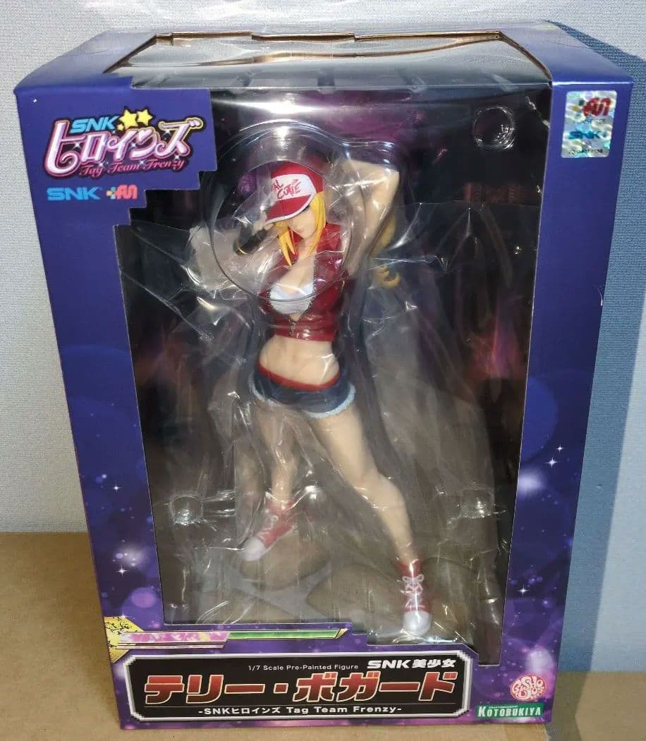 SNKヒロインズ Tag Team Frenzy テリー・ボガード 1/7