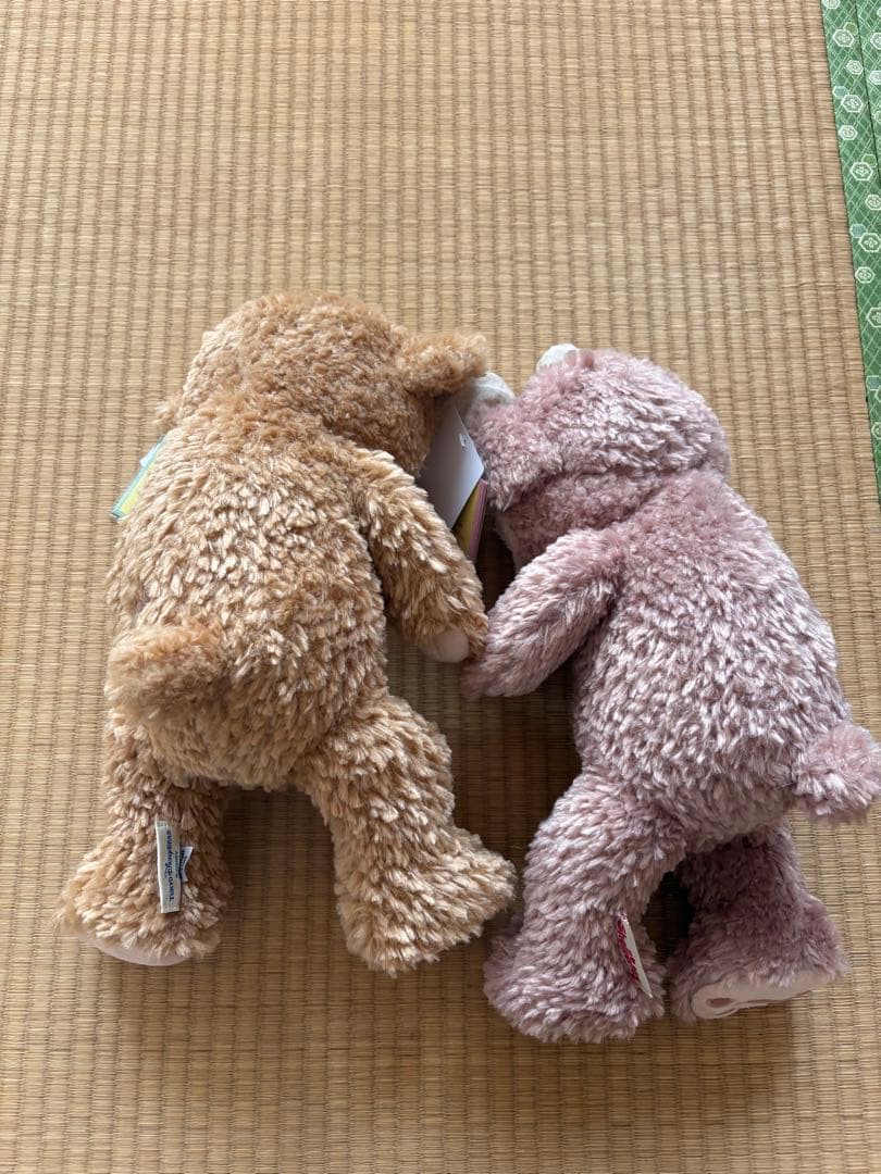 Duffy & ShellieMay ぬいぐるみ　ディズニーチケット付きザクラス