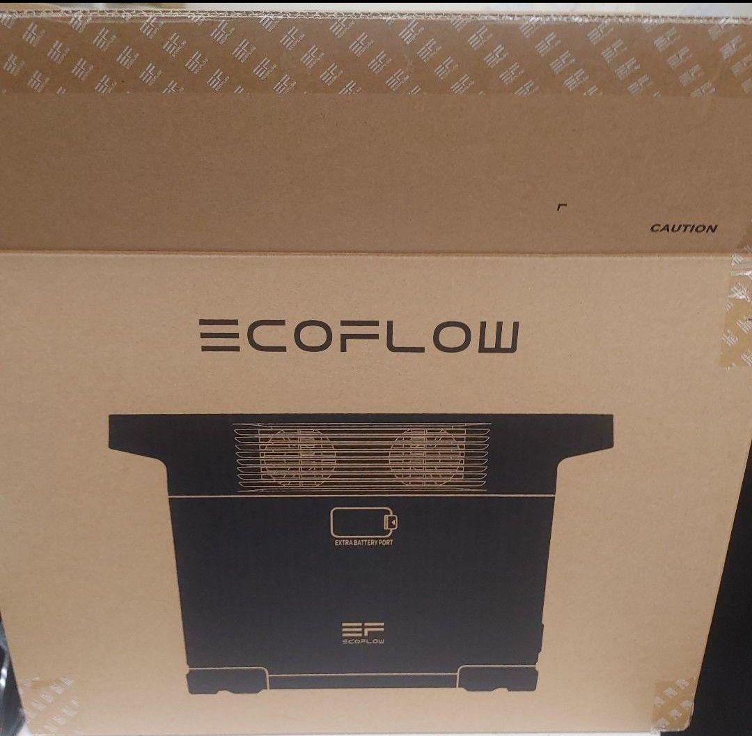 み*迎様 正規整備済品　EcoFlow DELTA 2 ポータブル電源