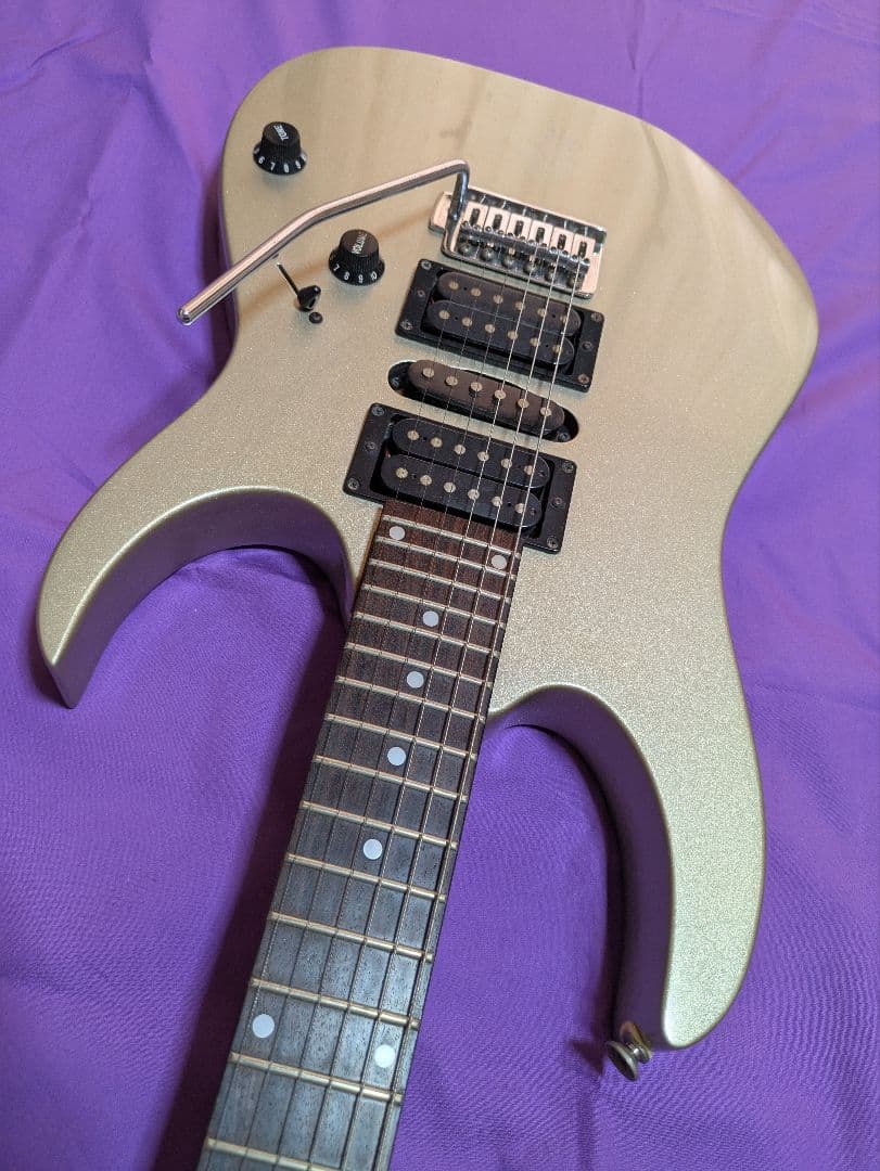 アイバニーズ RG シリーズ シルバー