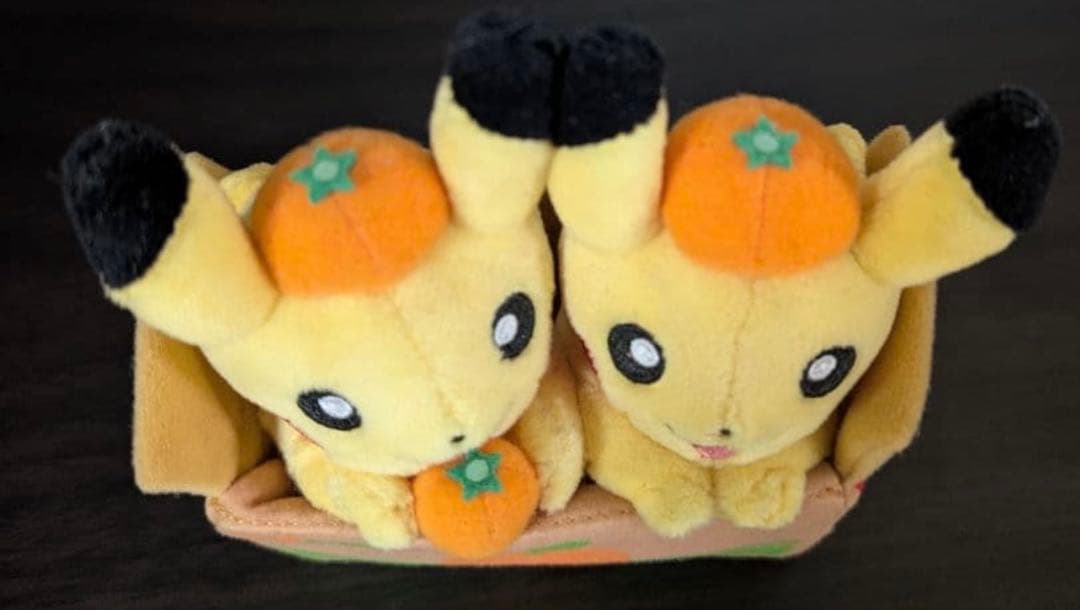 ペアピカチュウと愛媛みかん えひめ