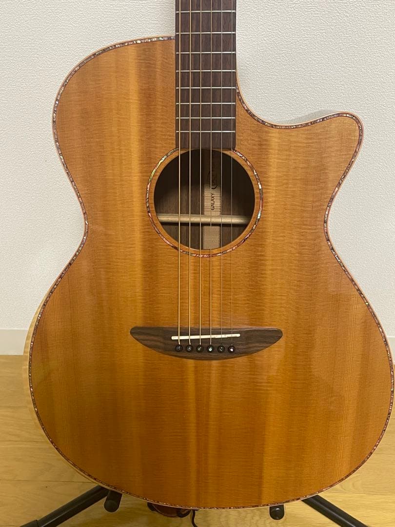 エレアコギター　DCT ＧＲ742CE