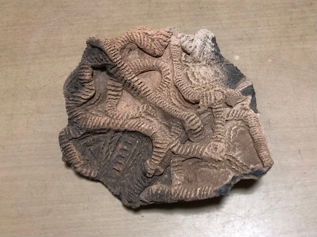 「土器の欠片 縁の部分 No.697」です。