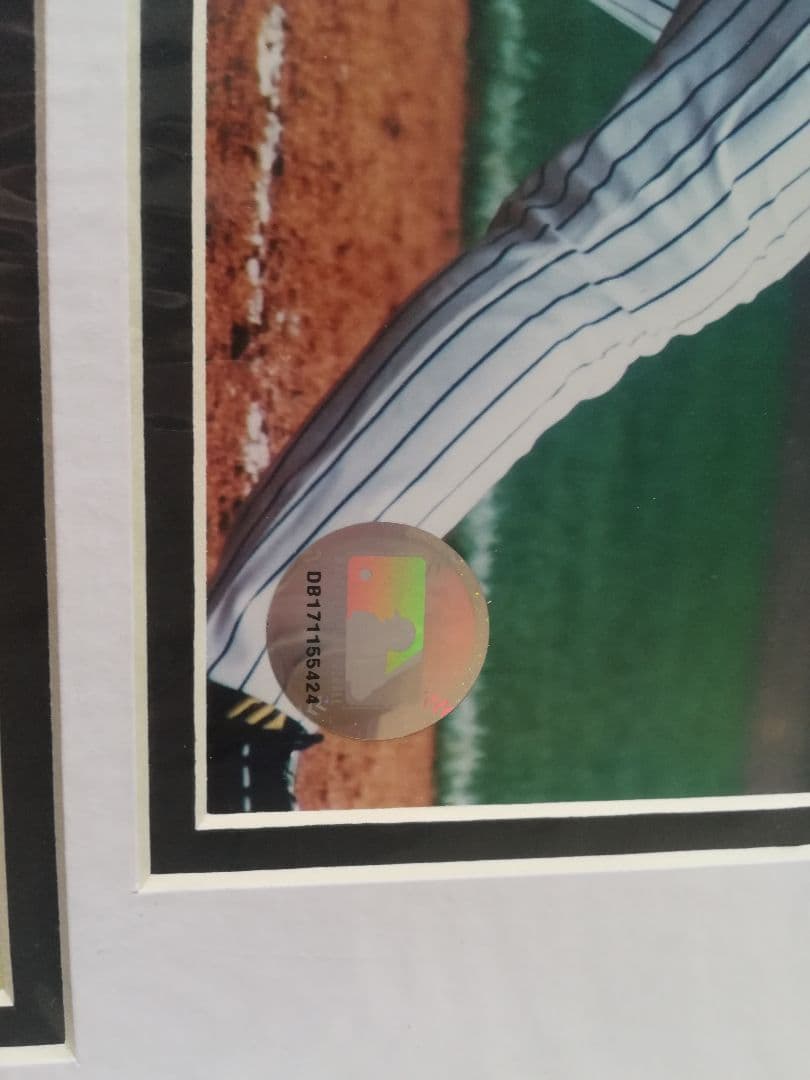 ヤンキース　松井　メジャーリーグ　パネル