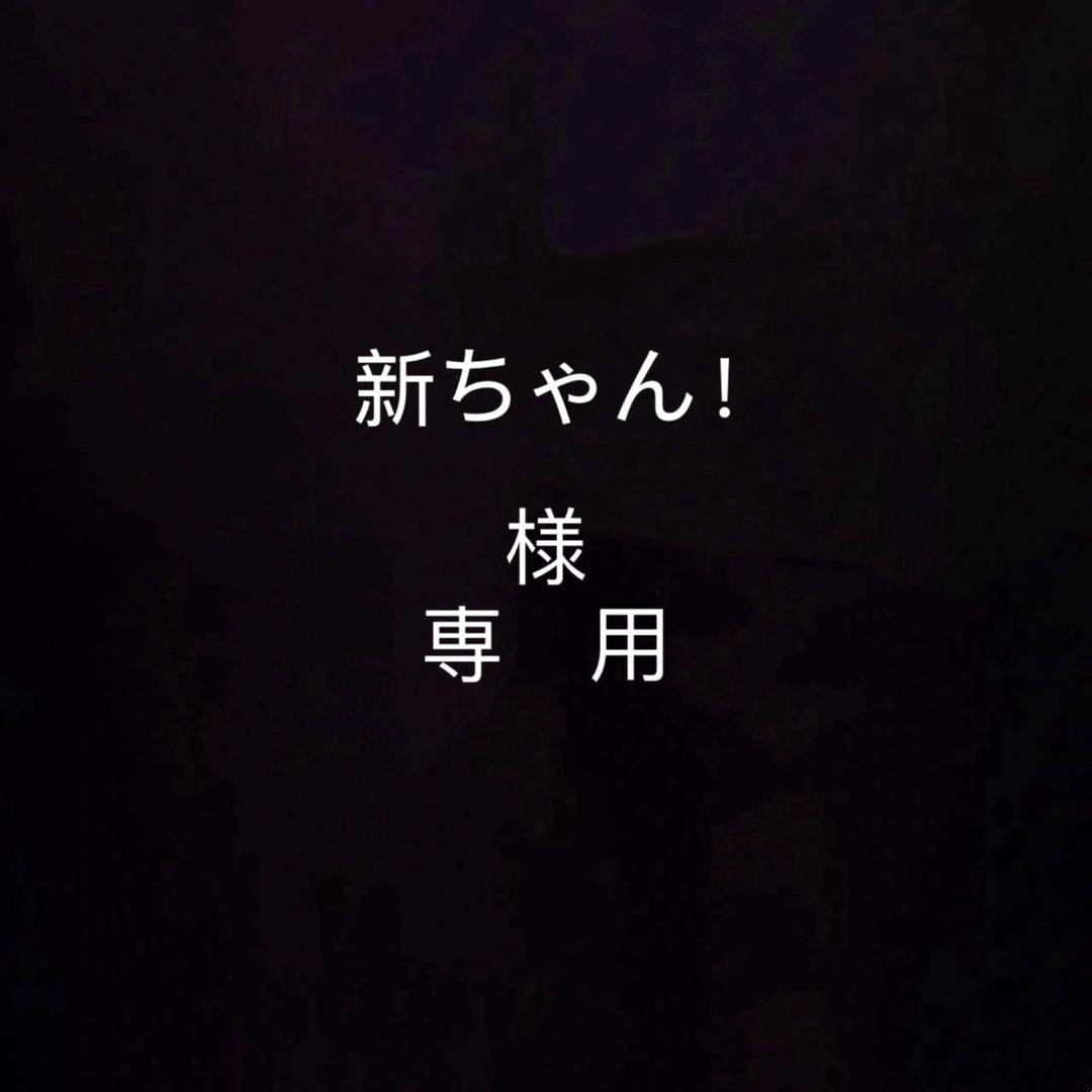 新ちゃん！ページ