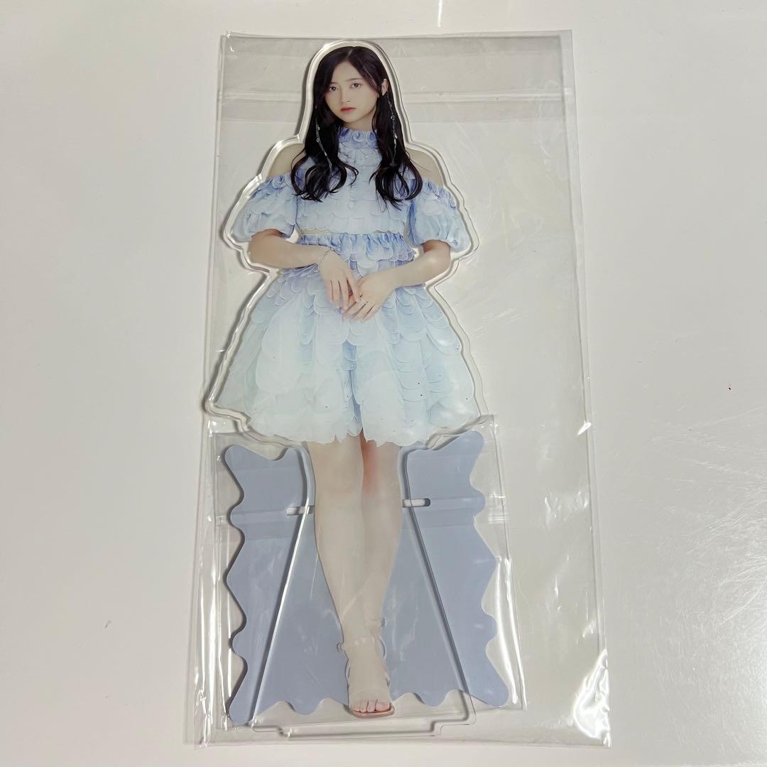 N*︎様 【オークション】乃木坂46 2024年 個別BIGアクリルスタンド 井