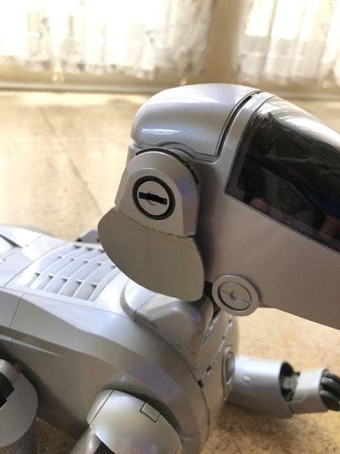 アイボ