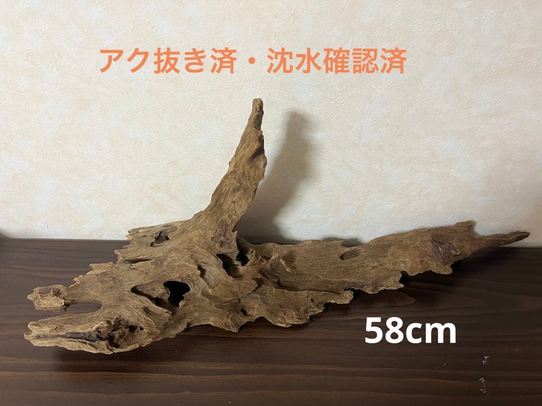 XM-363 ブランチウッド　流木　マシンガンウッド　アクアリウム　爬虫類
