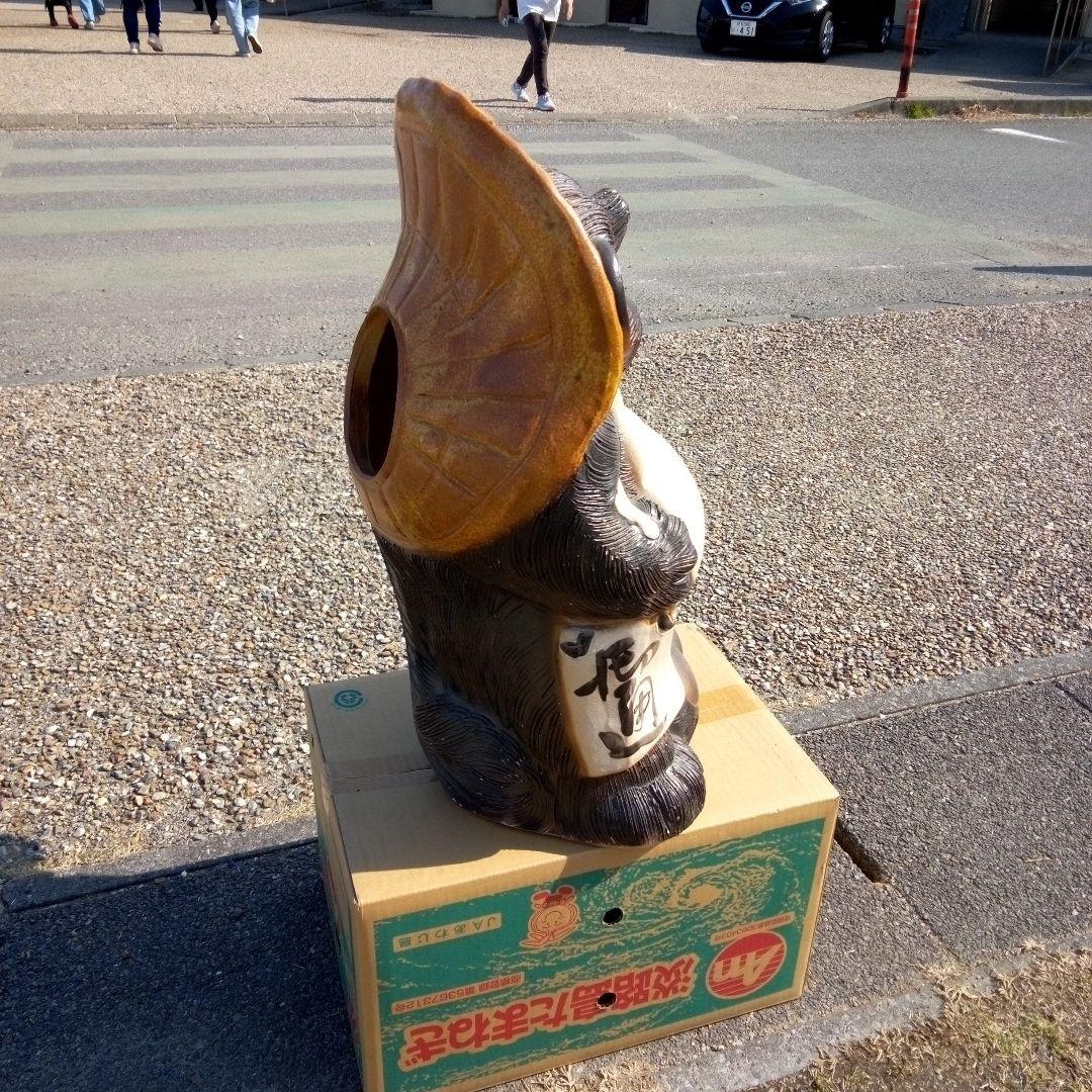 狸大型