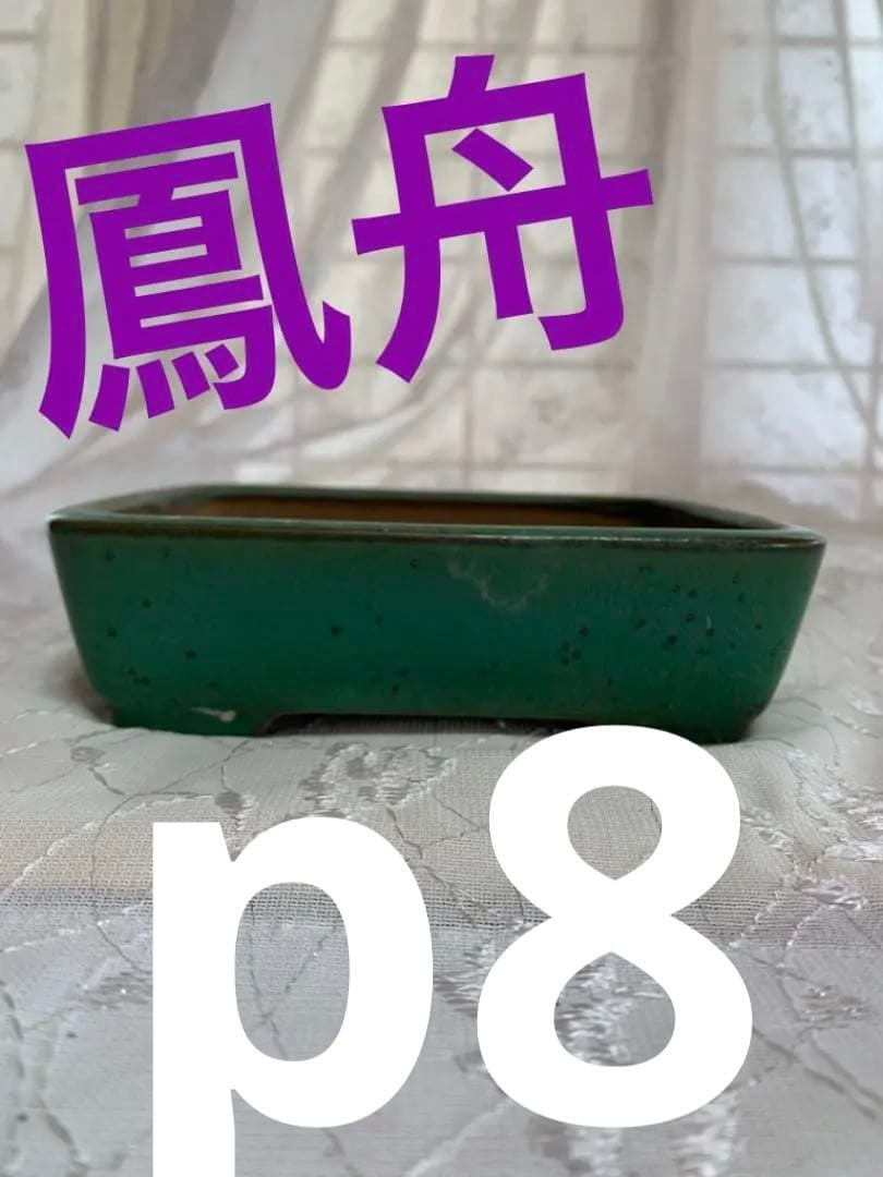 鳳舟