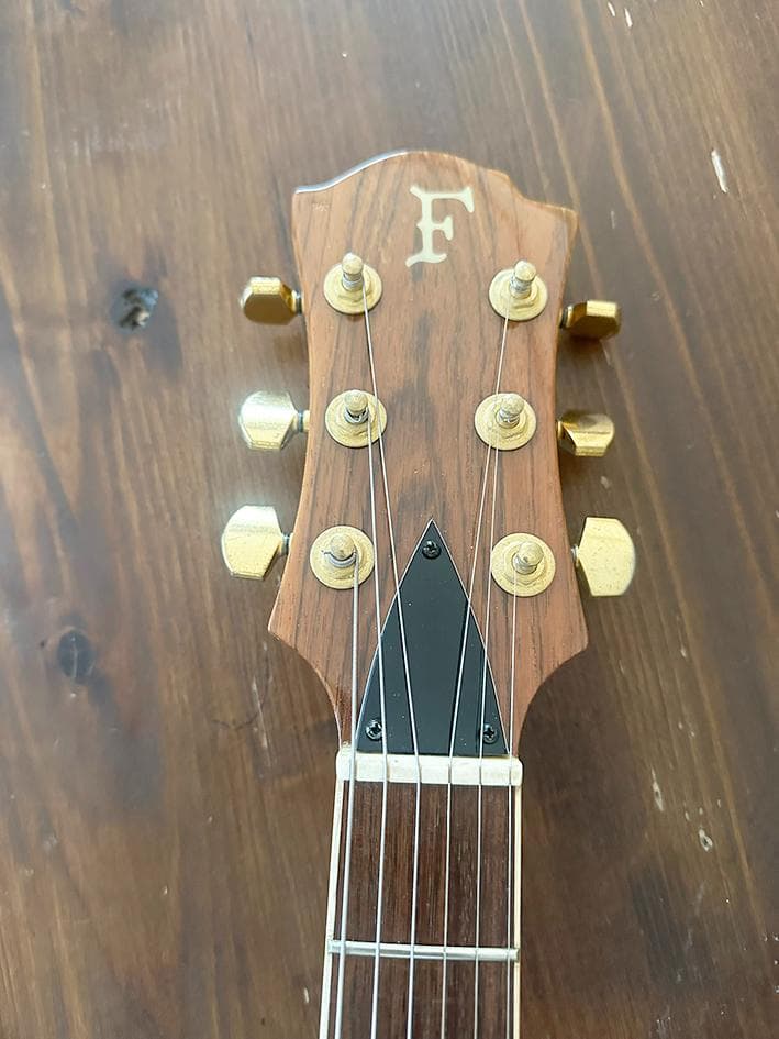 EMG81 DP100搭載 FERNANDES モッキンバード MG