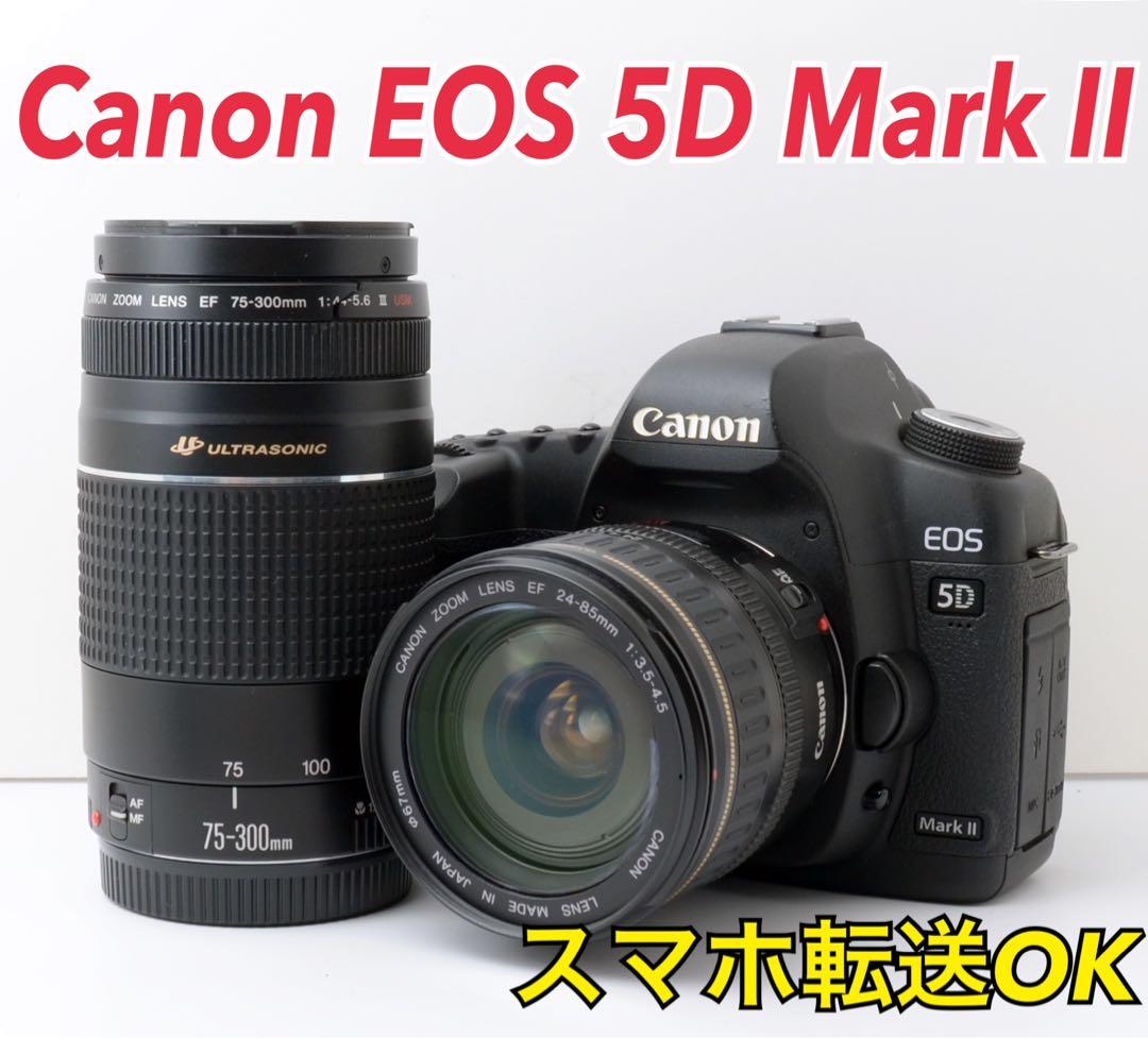 人気フルサイズ機！Canon EOS 5D Mark Ⅱ★超望遠付き★転送OK