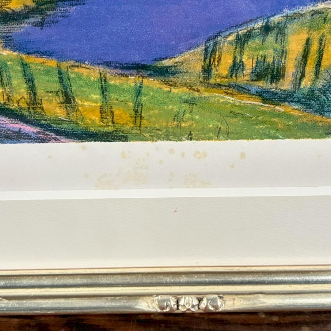 田崎廣助「桜島」リトグラフ 印章有 エンボス印有 額縁入り 田崎広助 鹿児島