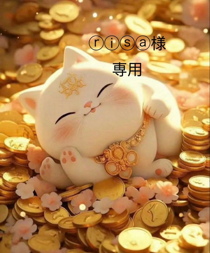 ⓡⓘⓢⓐ